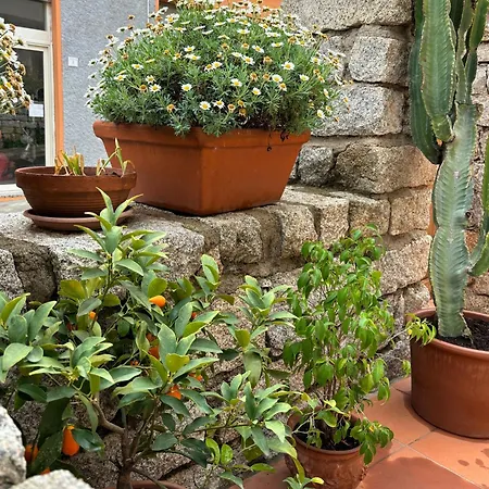 公寓 Casa Fiorella - Vista Mare
